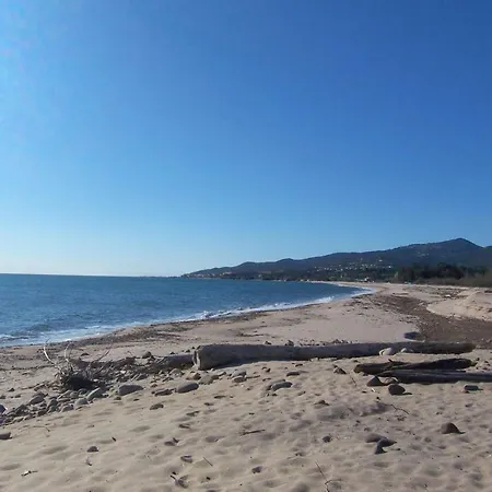 Chiola Rdc Beach On Foot Solaro 1 Apartment Sari-Solenzara