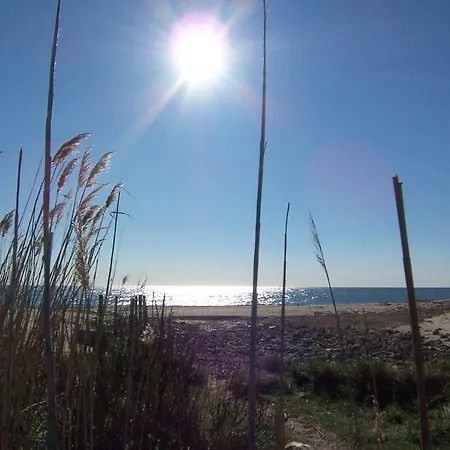 Chiola Rdc Beach On Foot Solaro 1 Sari-Solenzara